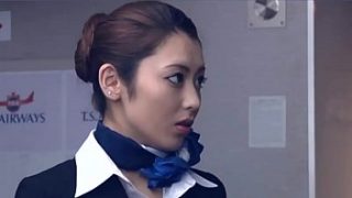 Stewardess seduction in the sky